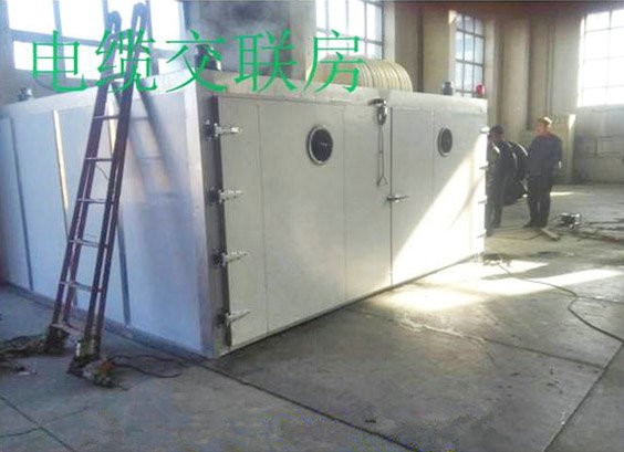 bettor伟德官网
